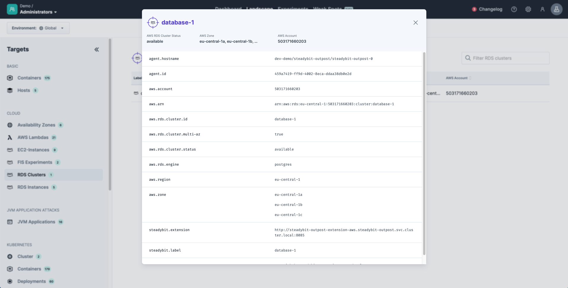 Identified information about a AWS RDS cluster that can later be used within experiments.