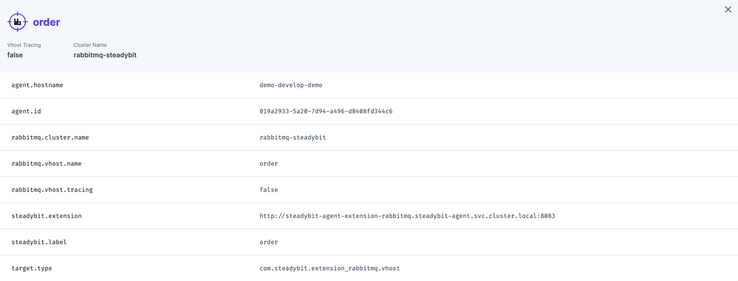 Identified information about a RabbitMQ vhost that can later be used within experiments.