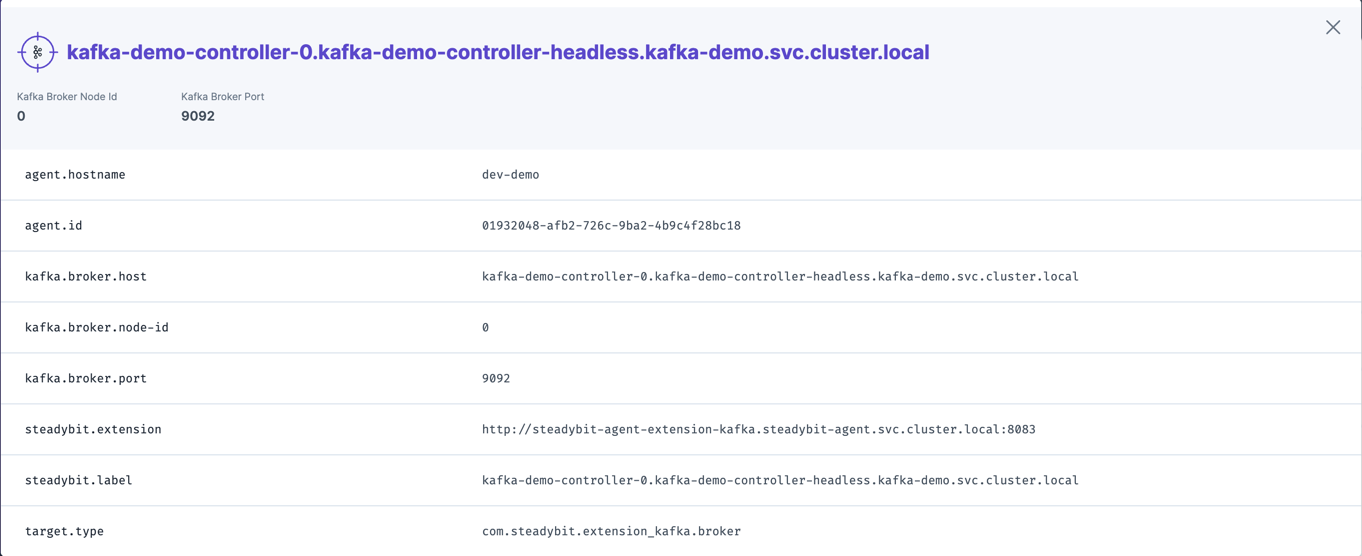 Identified information about a Kafka broker that can later be used within experiments.