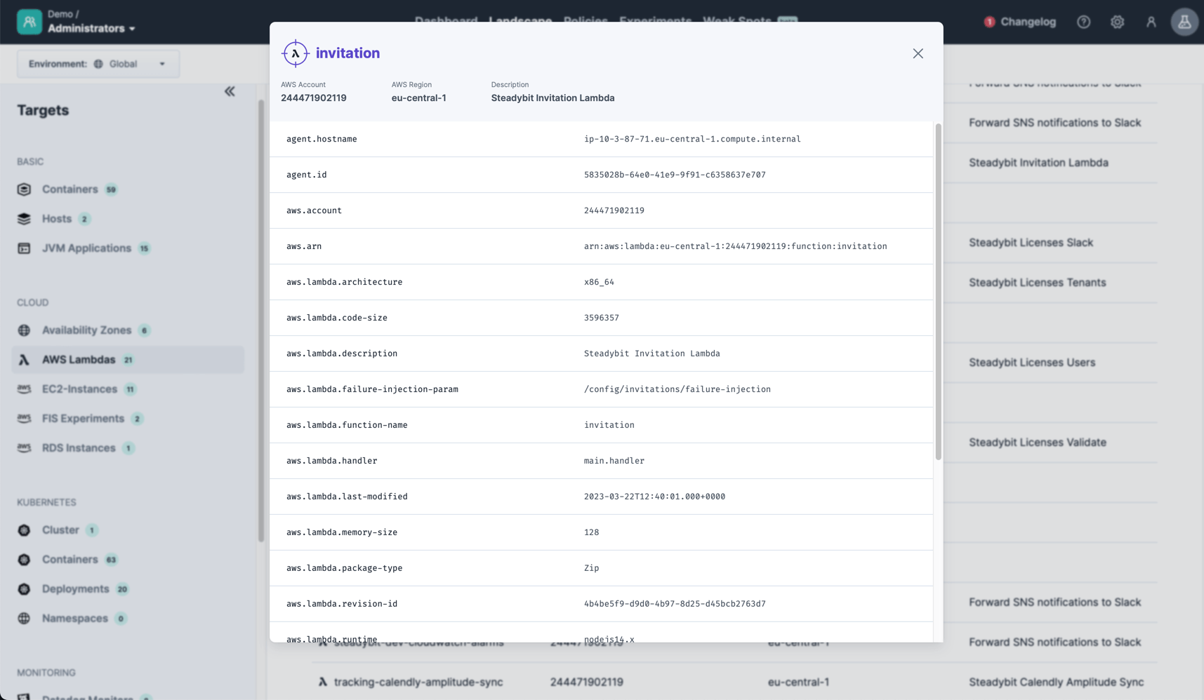 Identified information about a AWS Lambda Function that can later be used within experiments.