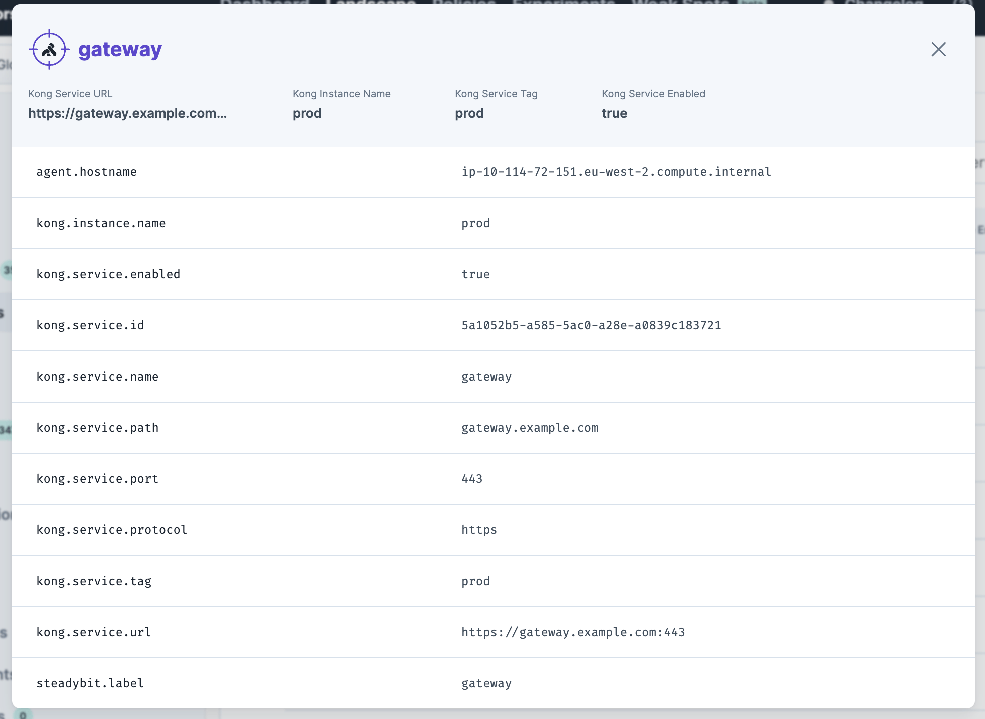 Identified information about a Kong service that can later be used within experiments.