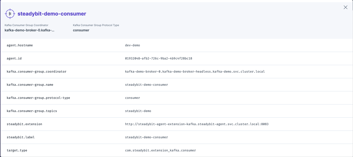 Identified information about a Kafka consumer that can later be used within experiments.