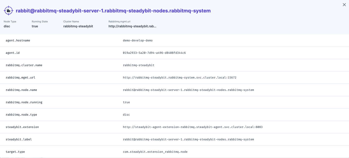 Identified information about a RabbitMQ node that can later be used within experiments.