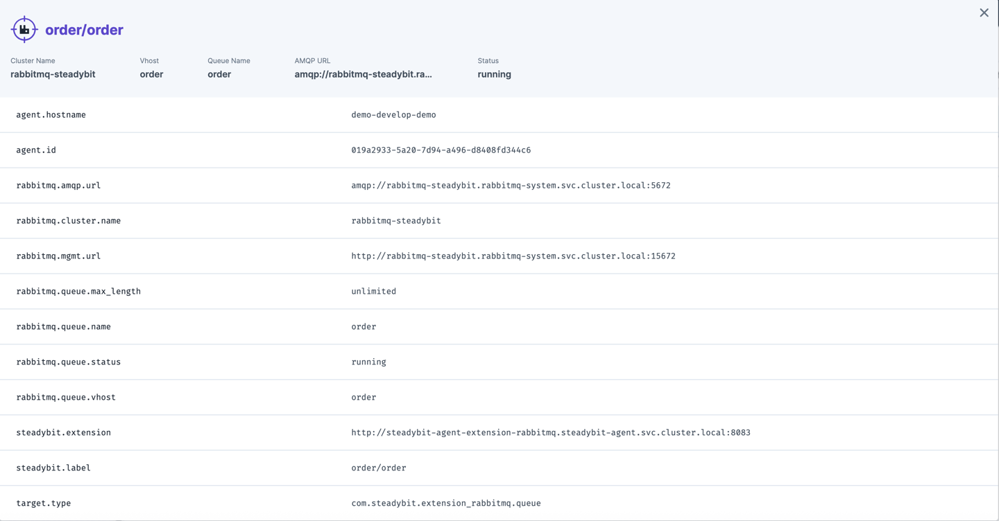 Identified information about a RabbitMQ queue that can later be used within experiments.