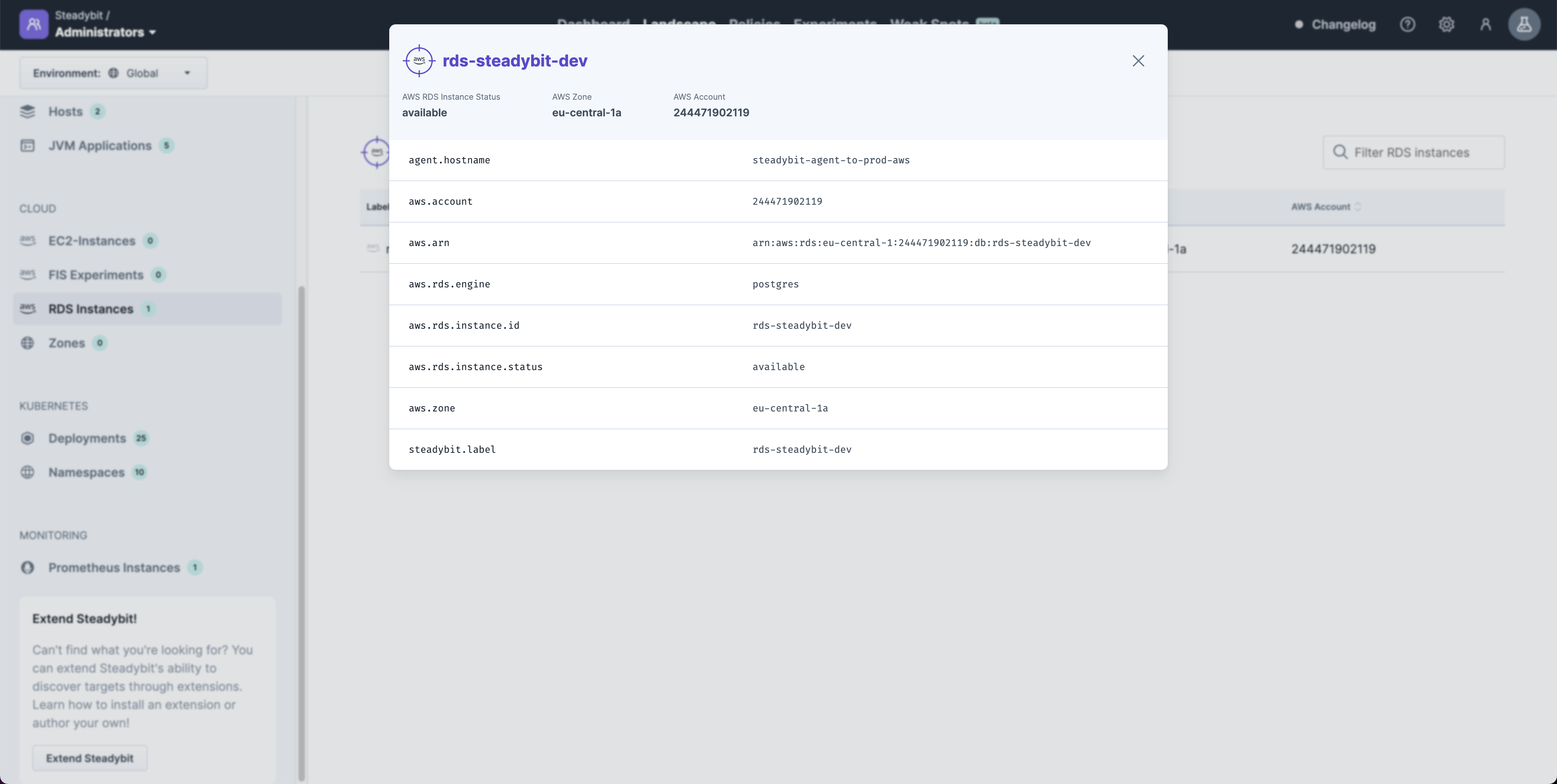 Identified information about a AWS RDS instance that can later be used within experiments.