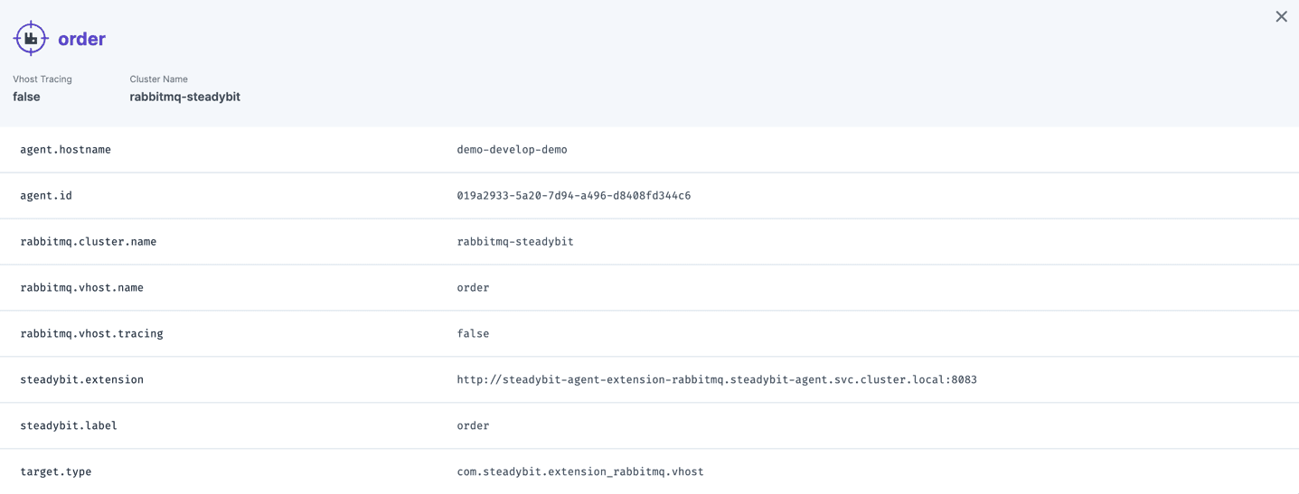 Identified information about a RabbitMQ vhost that can later be used within experiments.