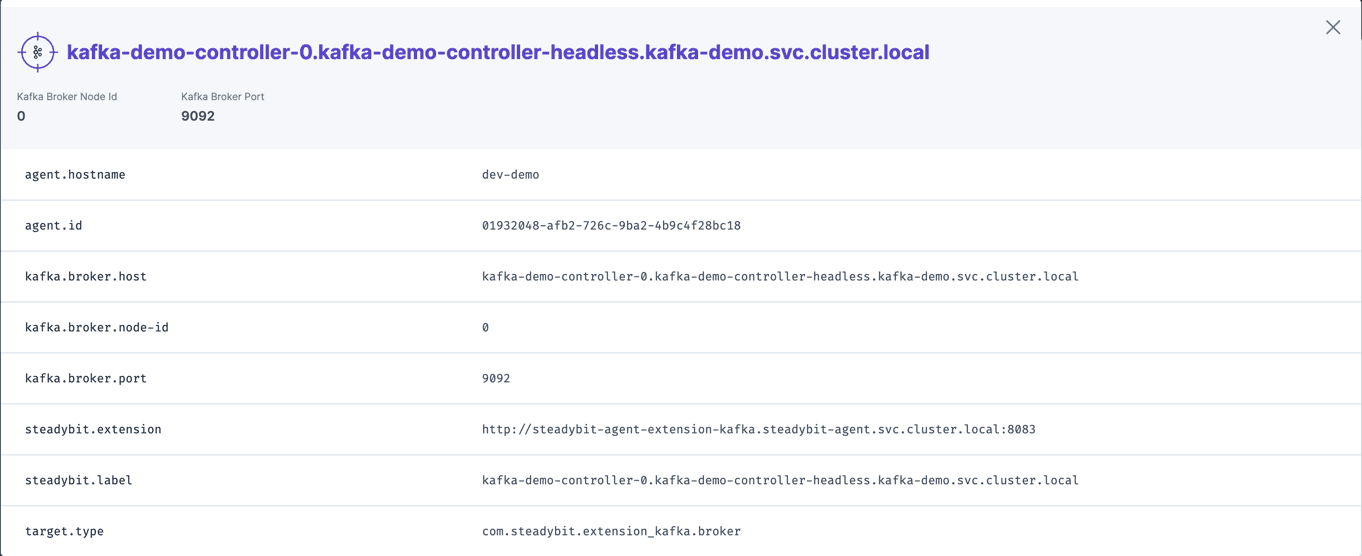 Identified information about a Kafka broker that can later be used within experiments.