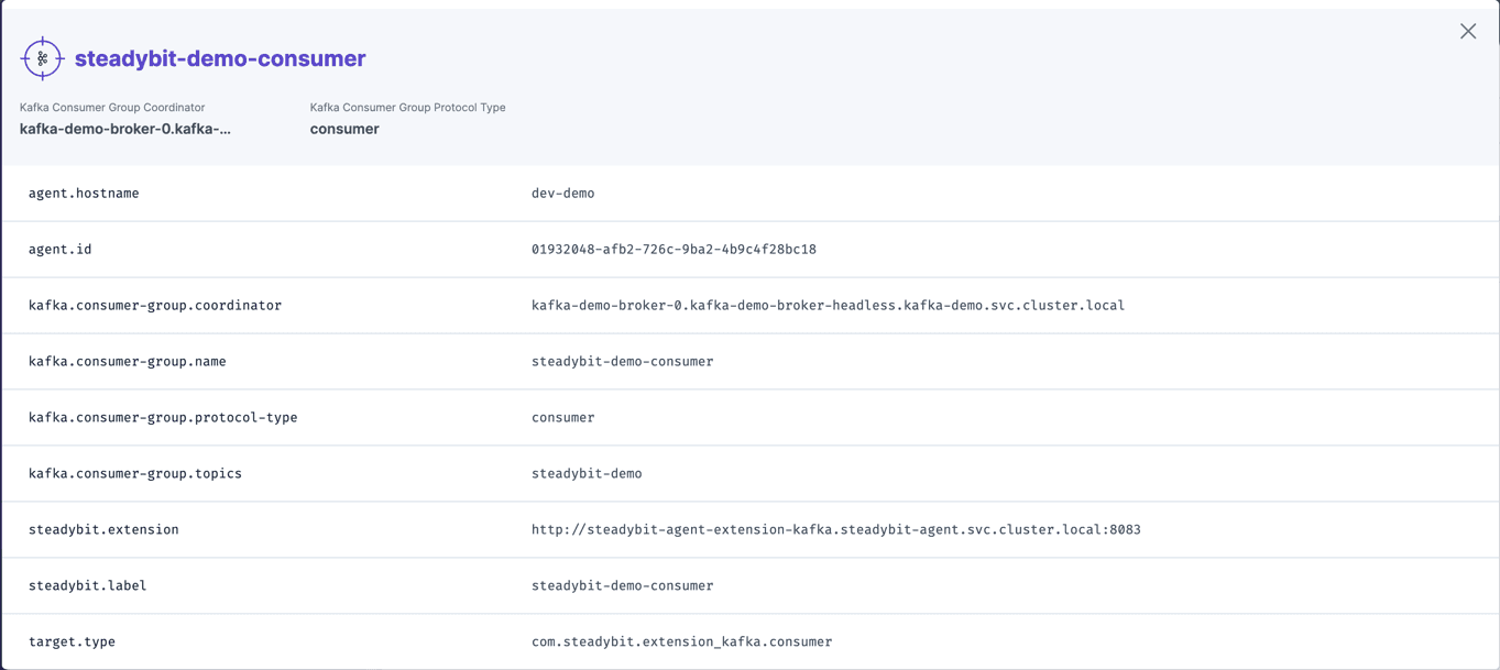 Identified information about a Kafka consumer that can later be used within experiments.