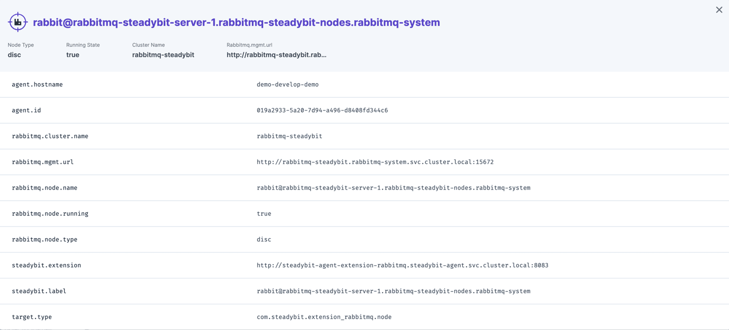 Identified information about a RabbitMQ node that can later be used within experiments.