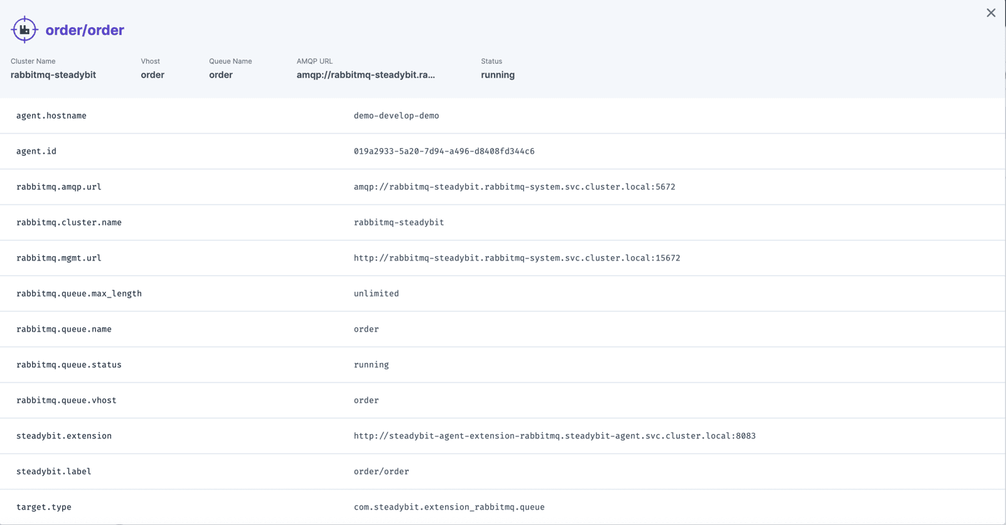 Identified information about a RabbitMQ queue that can later be used within experiments.